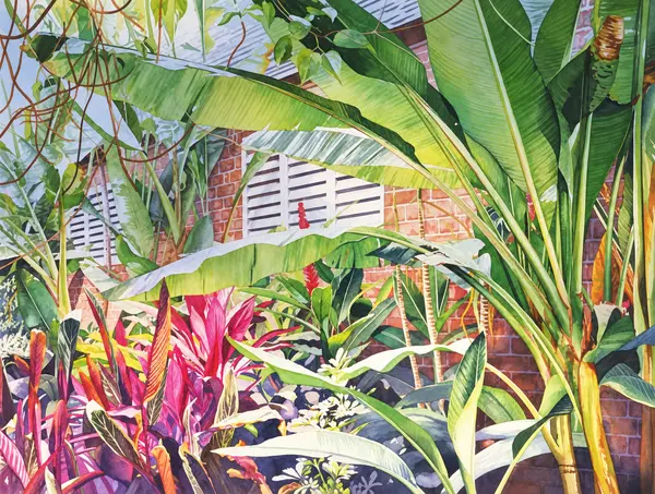 Tropical garden with banana leaves.