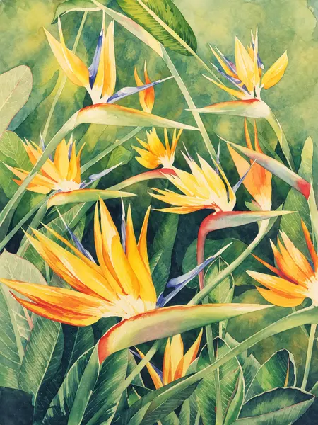 Bird-of-paradise flowers.