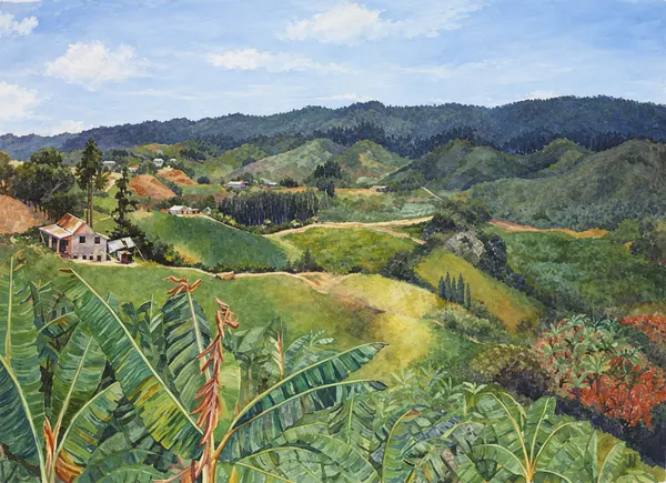 Green hills and valley.